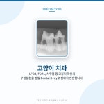 여의도 동물병원