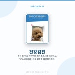 여의도 동물병원