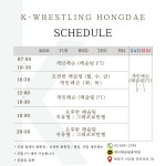 케이레슬링 홍대점