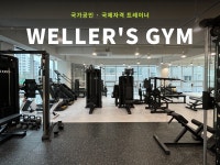 웰러스짐