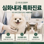 김포나루동물병원