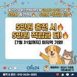 올리스24셀프펫워시엔호텔