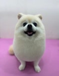 뽀그리독