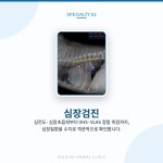 여의도 동물병원