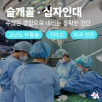 24시 아프리카동물병원