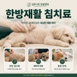 김포나루동물병원
