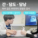 24시 아프리카동물병원