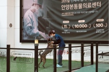 안양본동물의료센터