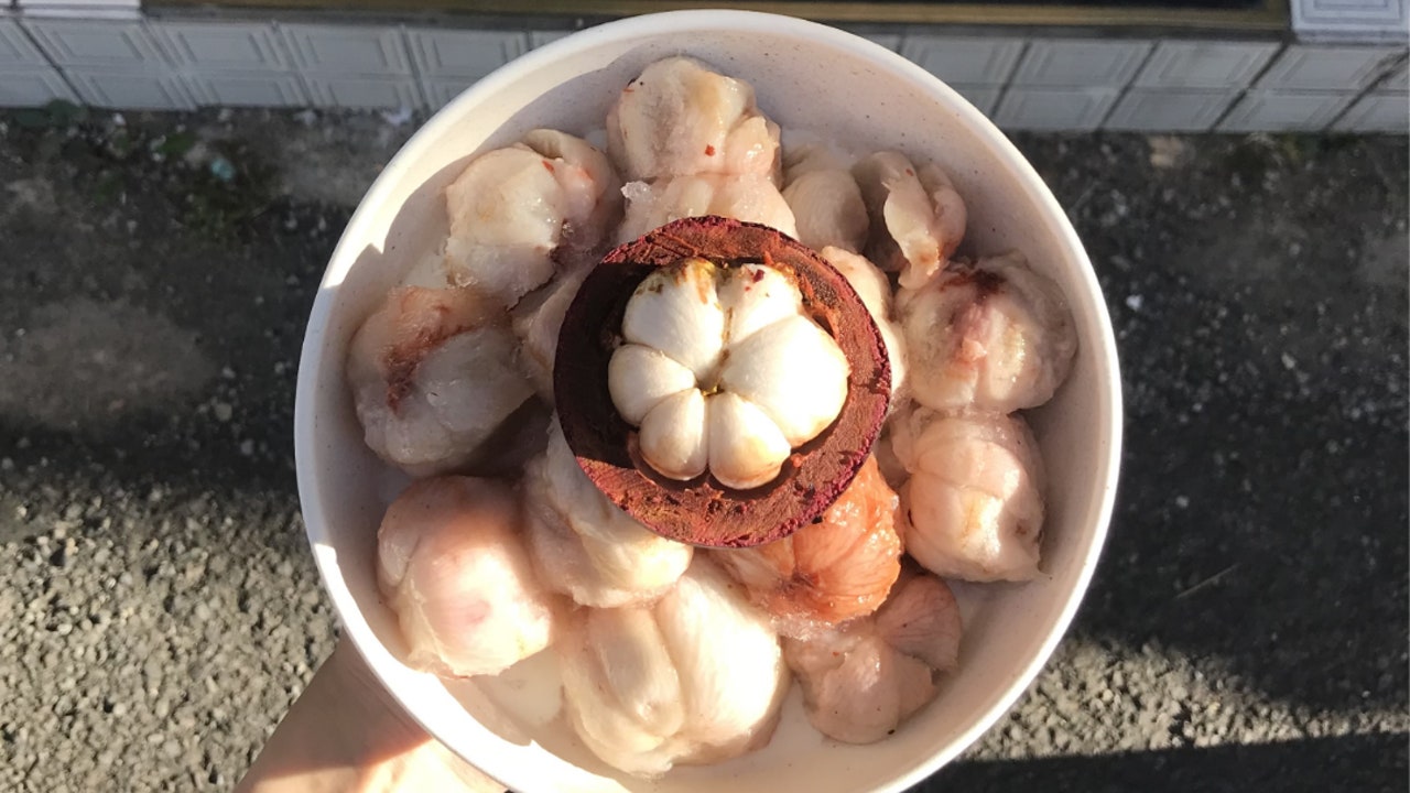 네이비소셜클럽 본점