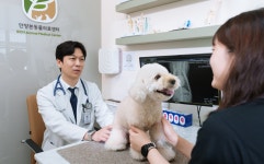 안양본동물의료센터