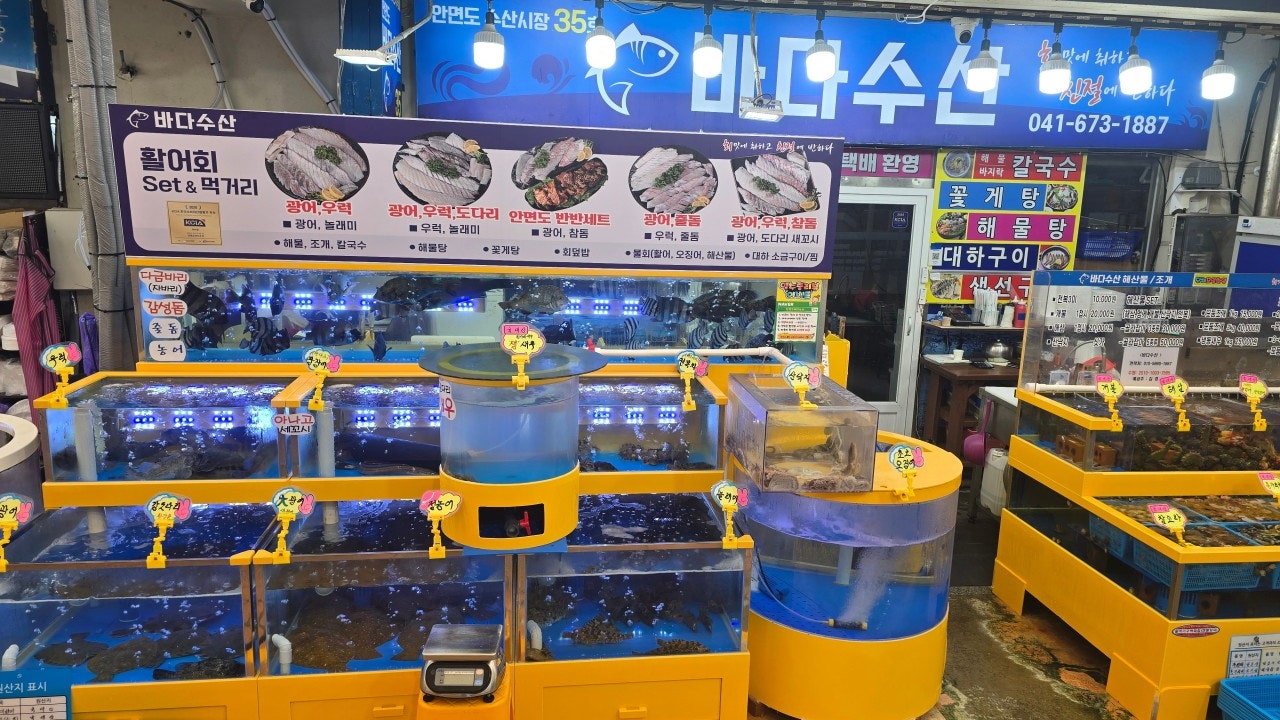 안면도바다수산
