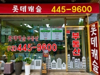 롯데캐슬공인중개사사무소