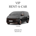 브이아이피렌트카