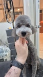 오몽오몽
