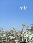 성환부부치과의원