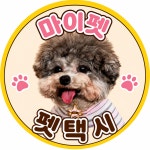 마이펫펫택시