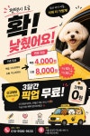 체크인독 애견유치원