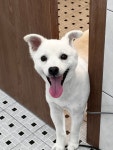 산책가자멍