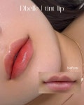 디벨르