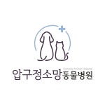 압구정소망동물병원