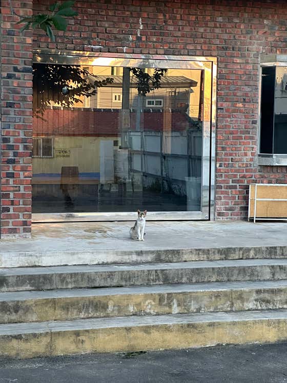 상주장커피 사진