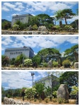 청솔수석박물관