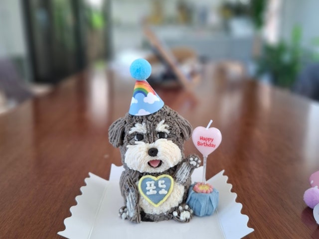 펫카페 오복