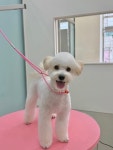 르멍