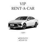 브이아이피렌트카