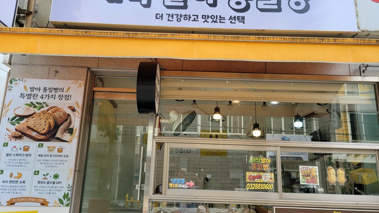 새싹 발아 통밀빵