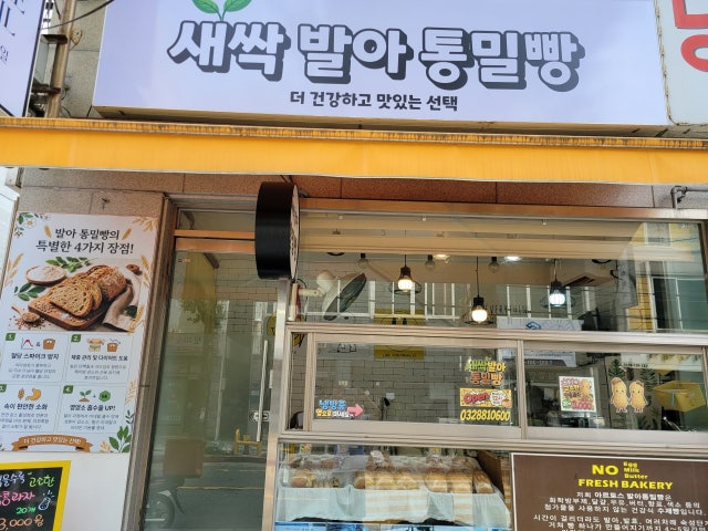 새싹 발아 통밀빵