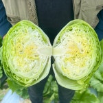솔이숲농장