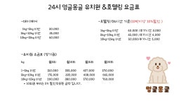 24시멍글몽글유치원&호텔링
