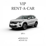 브이아이피렌트카