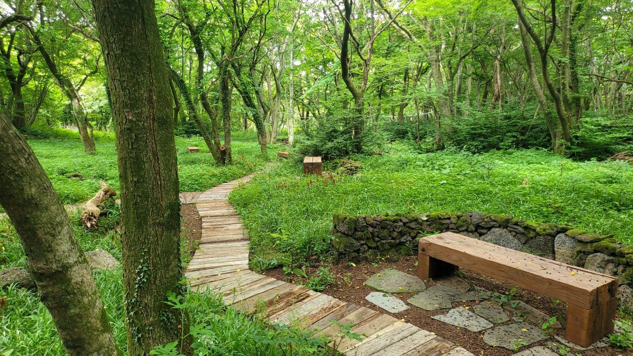 숲카페동천