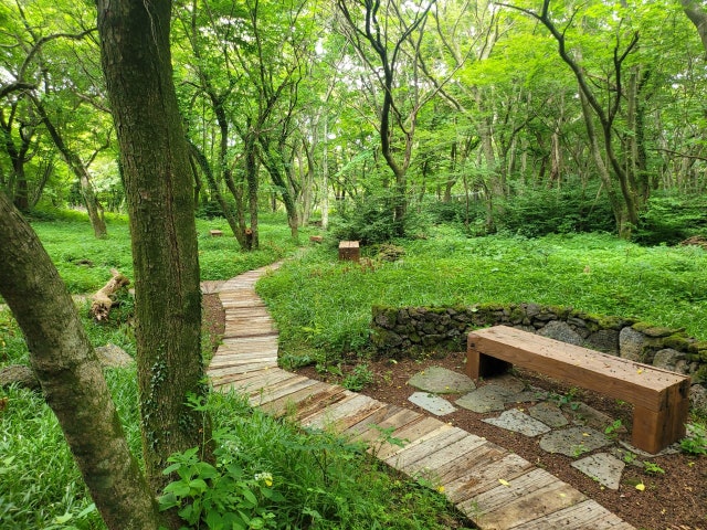 숲카페동천