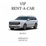 브이아이피렌트카