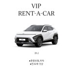 브이아이피렌트카