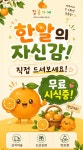 감귤가게