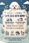 오늘도이쁘개