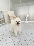 까끄롱
