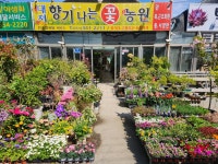 향기나는꽃농원