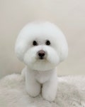 까끄롱