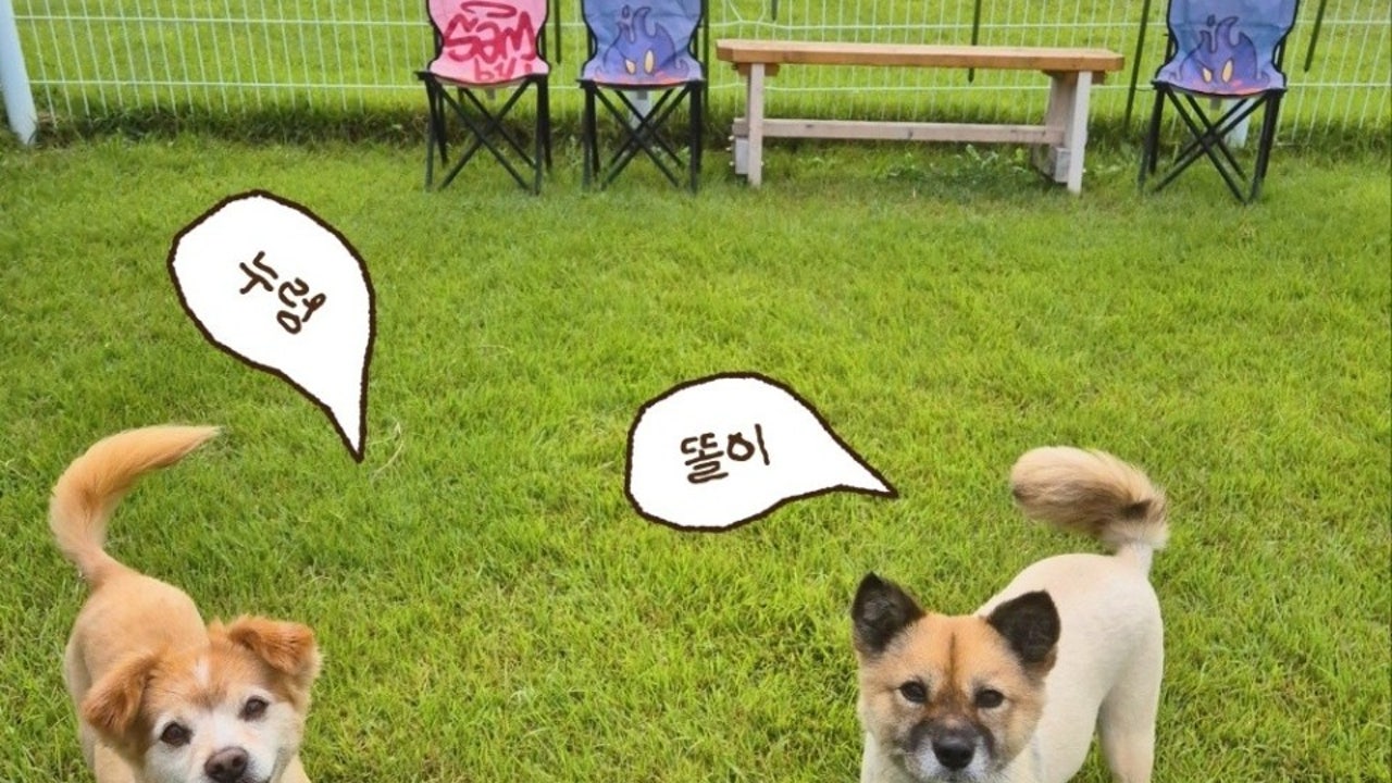 오구커피