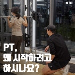 짐엑스텐