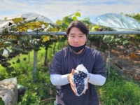청년상회