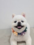 서울동물병원내미용실
