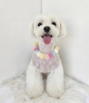 귀여븐댕