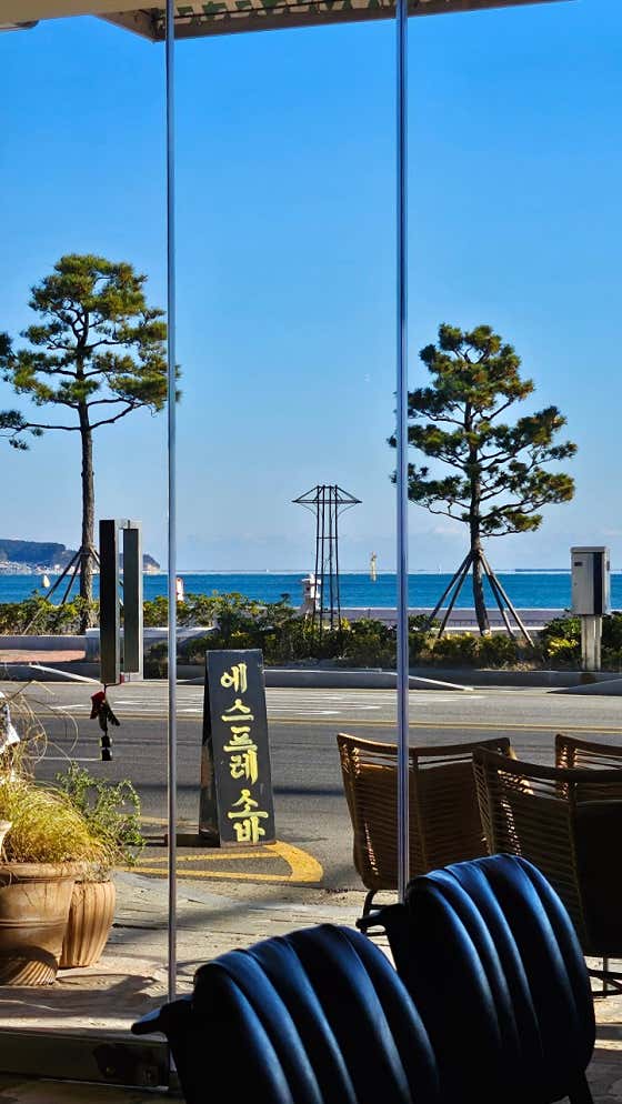 짹짹커피 포항송도점 사진