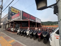 레드존